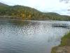 Apple Day - River
